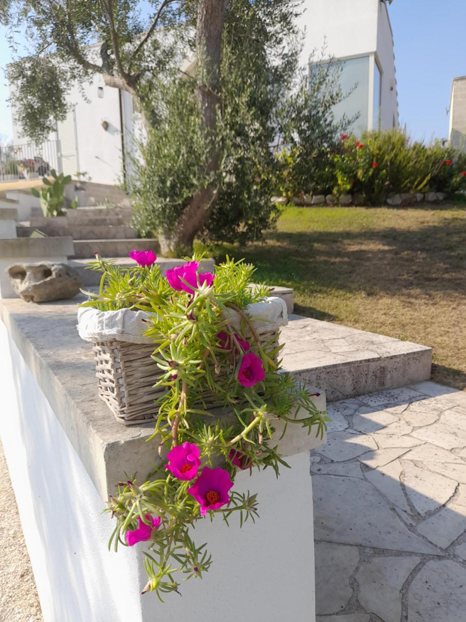 Tenuta Valle Dell Idro Otranto Con Piscina Casamassella Kültér fotó
